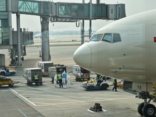 最新 所有目的地为北京的国际客运航班均从指定的第一入境点入境
